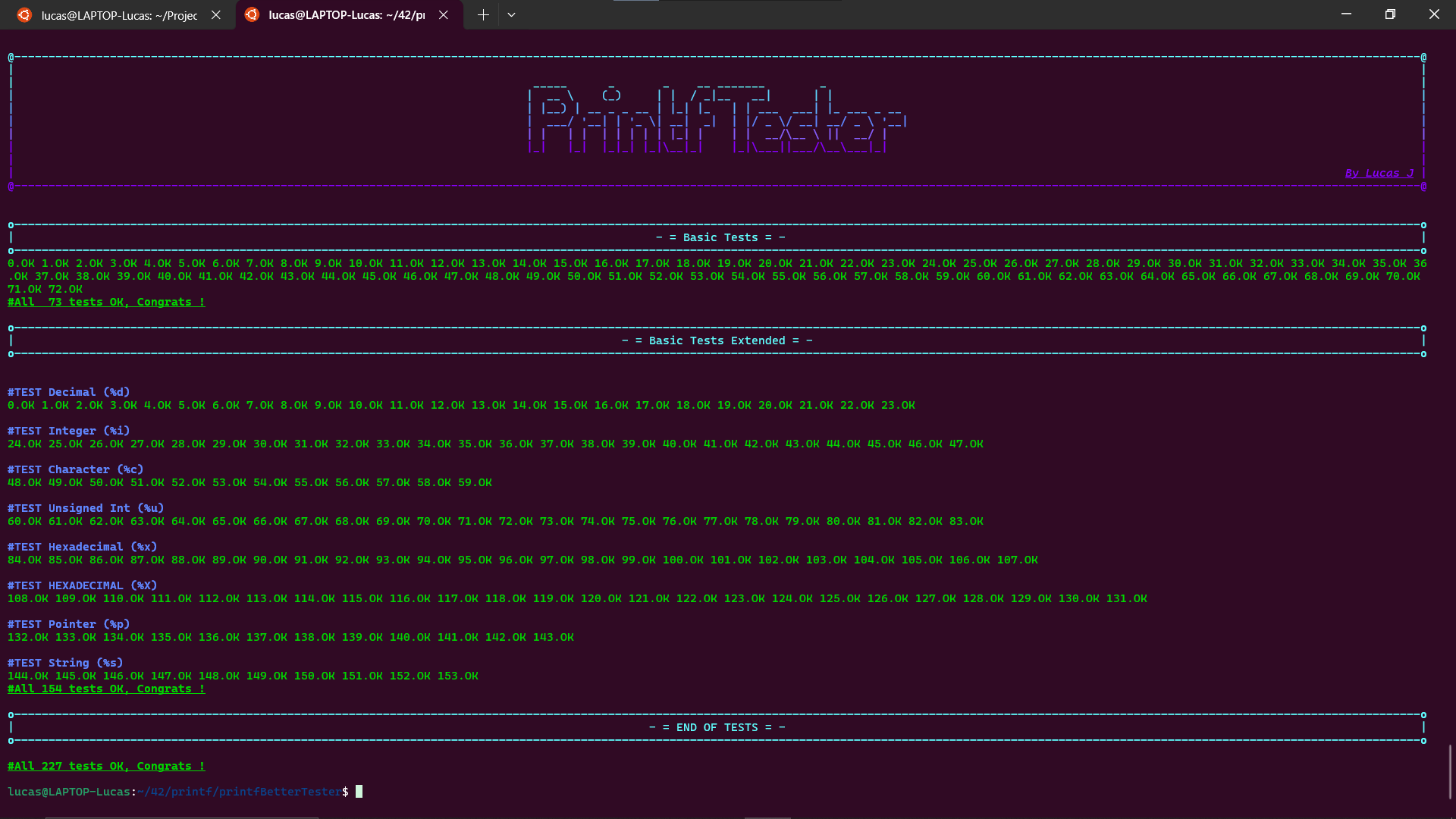 Printf Tester